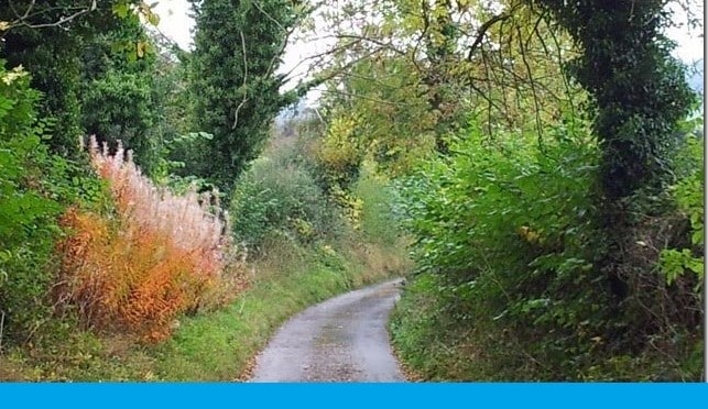 Mayfield Guided Walks